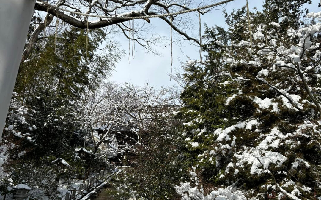 まいどありがとうございます、左近です️✨️ 今日も寒い季節が