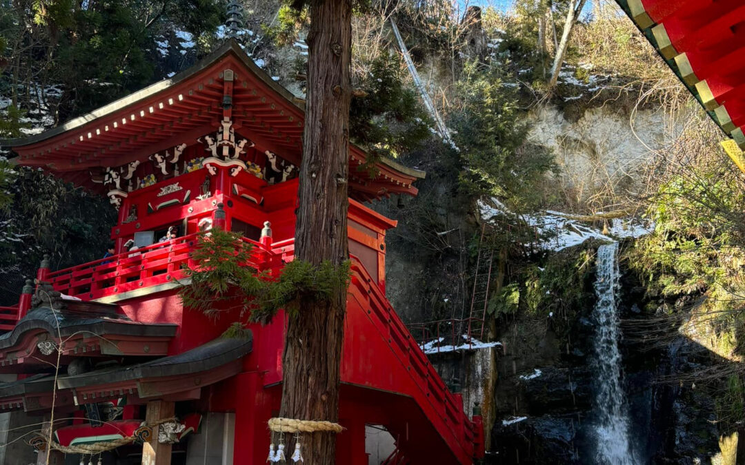 まいどありがとうございます✨左近です